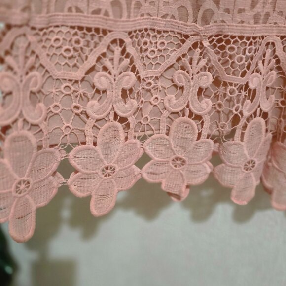 Elegant Rebellion size 3X Pink Lace Dress With Floral Accents & Zipper Closure - Picture 3 of 5